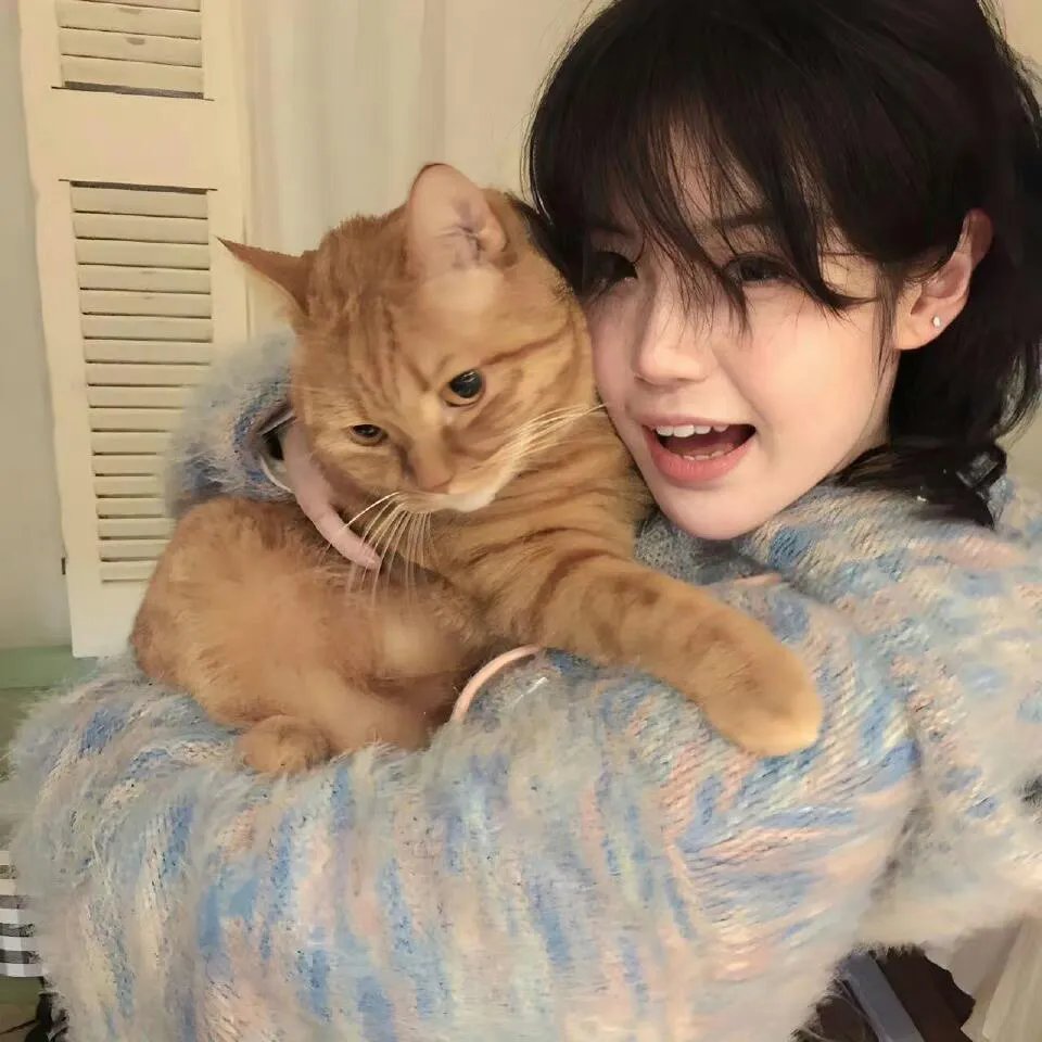 猛虎突击队